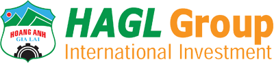 HAGL Group International Investment